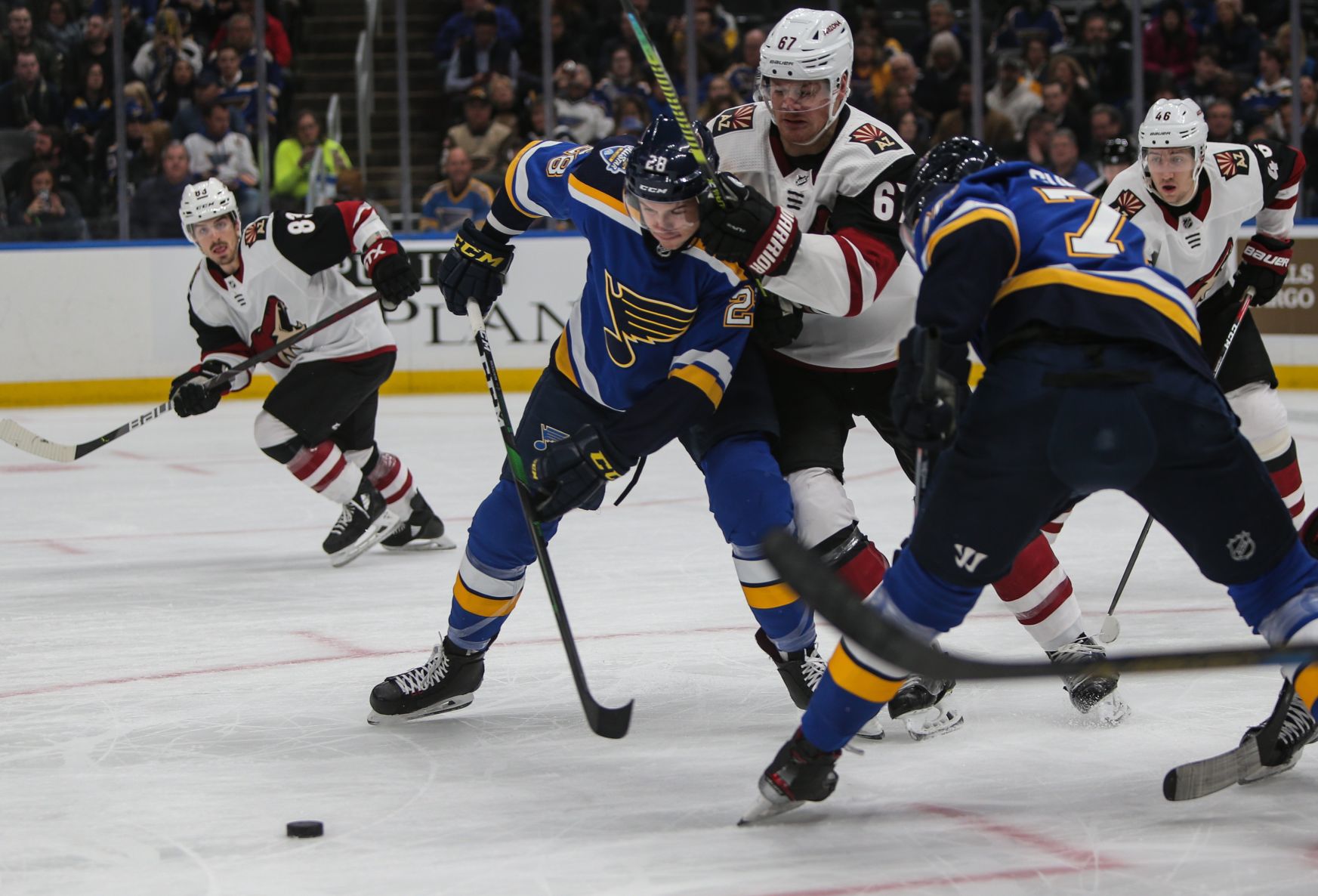 Blues take on the Coyotes
